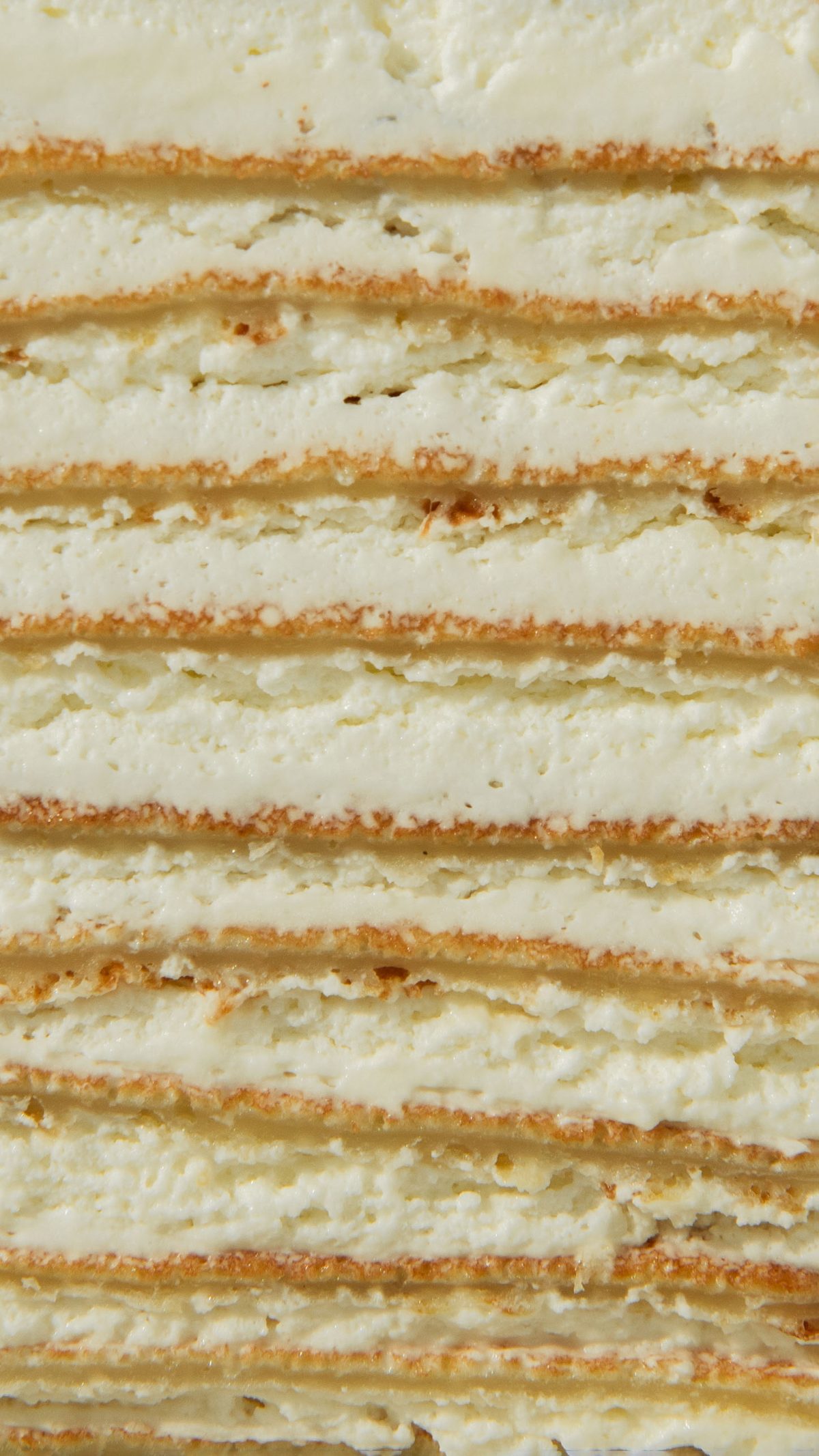 Cake "Honey Cake"